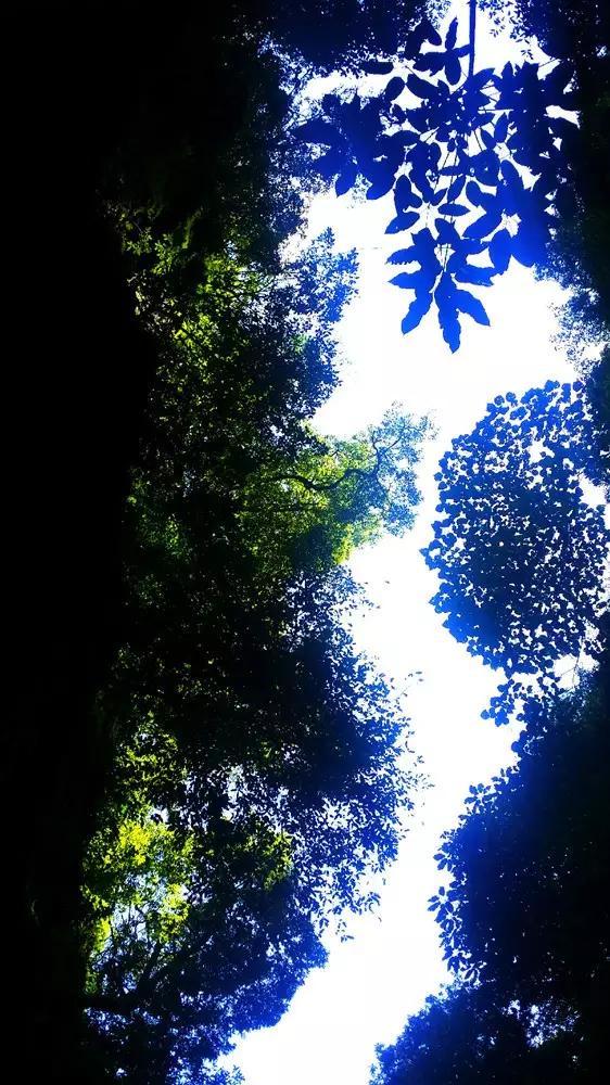 智能问答网页-便秘,又引起的口臭,可用什么方法治疗?-机智解答您的疑惑